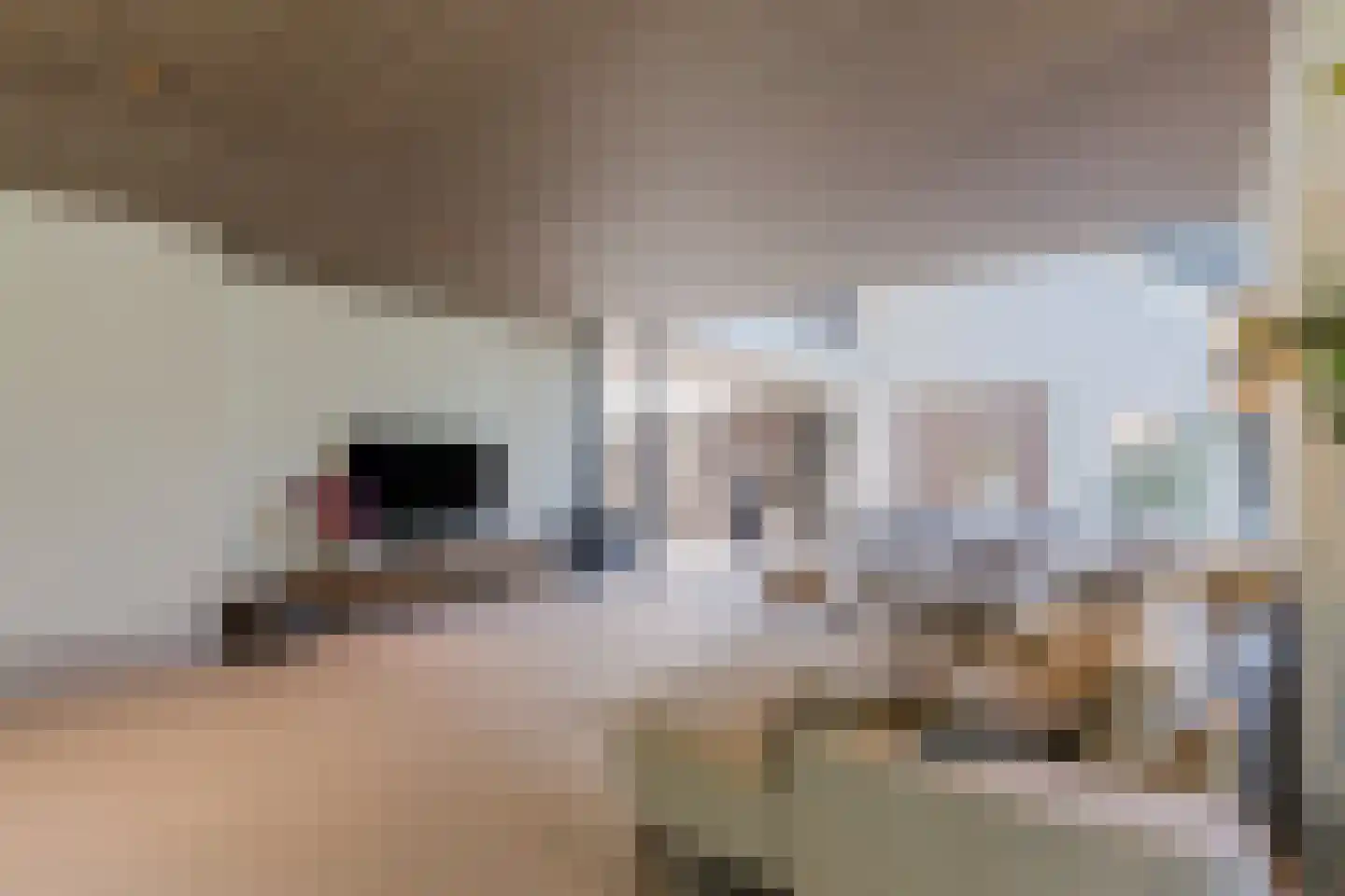 Oude Vresselseweg 8 C Sint-Oedenrode thumbnail 18