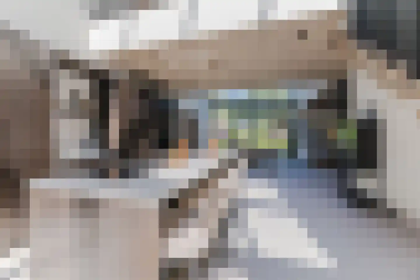 Oude Vresselseweg 8 C Sint-Oedenrode thumbnail 32