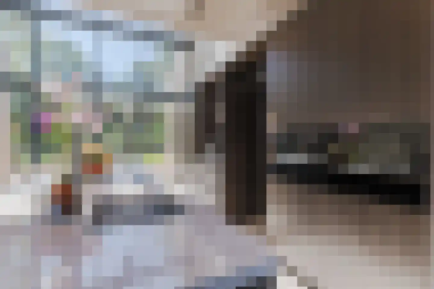 Oude Vresselseweg 8 C Sint-Oedenrode thumbnail 36