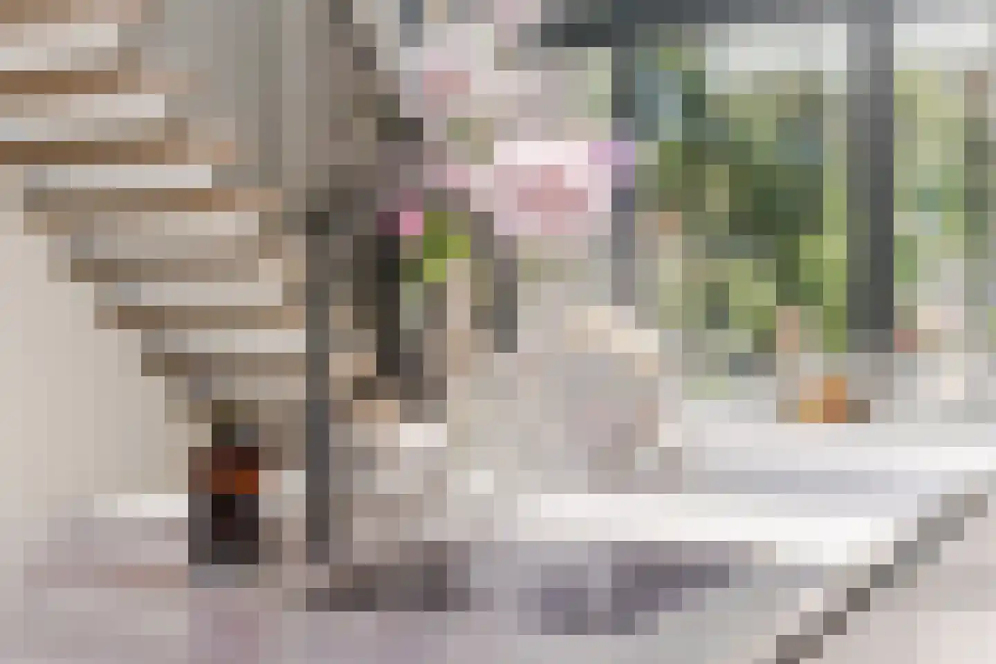 Oude Vresselseweg 8 C Sint-Oedenrode thumbnail 40