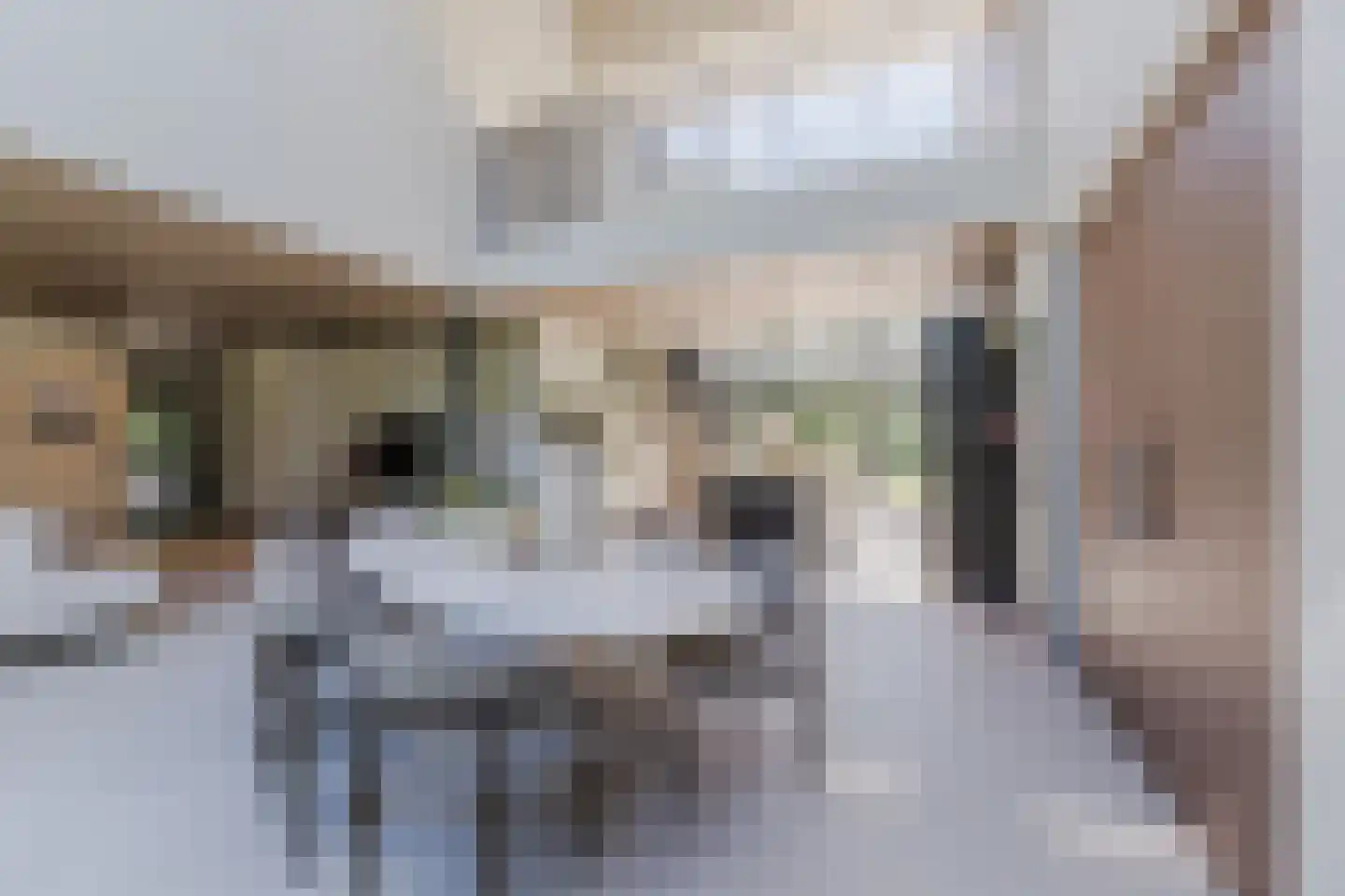 Oude Vresselseweg 8 C Sint-Oedenrode thumbnail 5