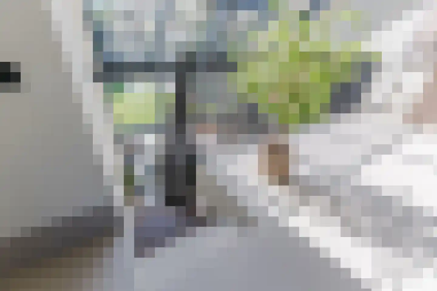 Oude Vresselseweg 8 C Sint-Oedenrode thumbnail 52