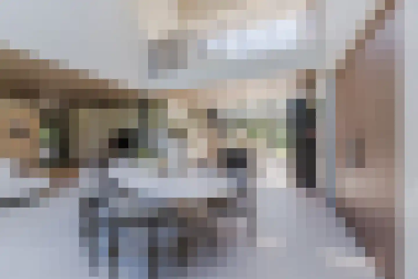 Oude Vresselseweg 8 C Sint-Oedenrode thumbnail 6