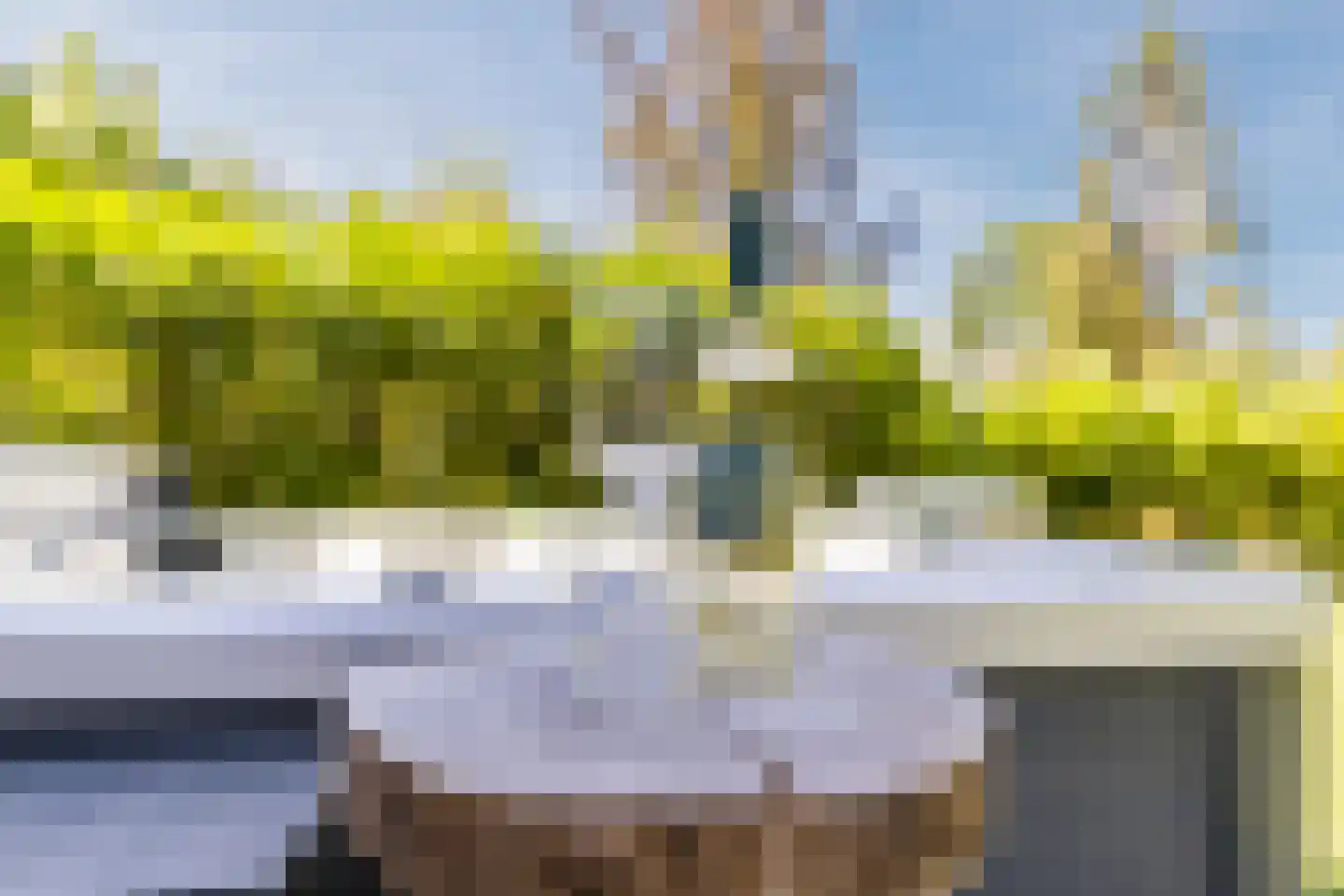 Oude Vresselseweg 8 C Sint-Oedenrode thumbnail 88