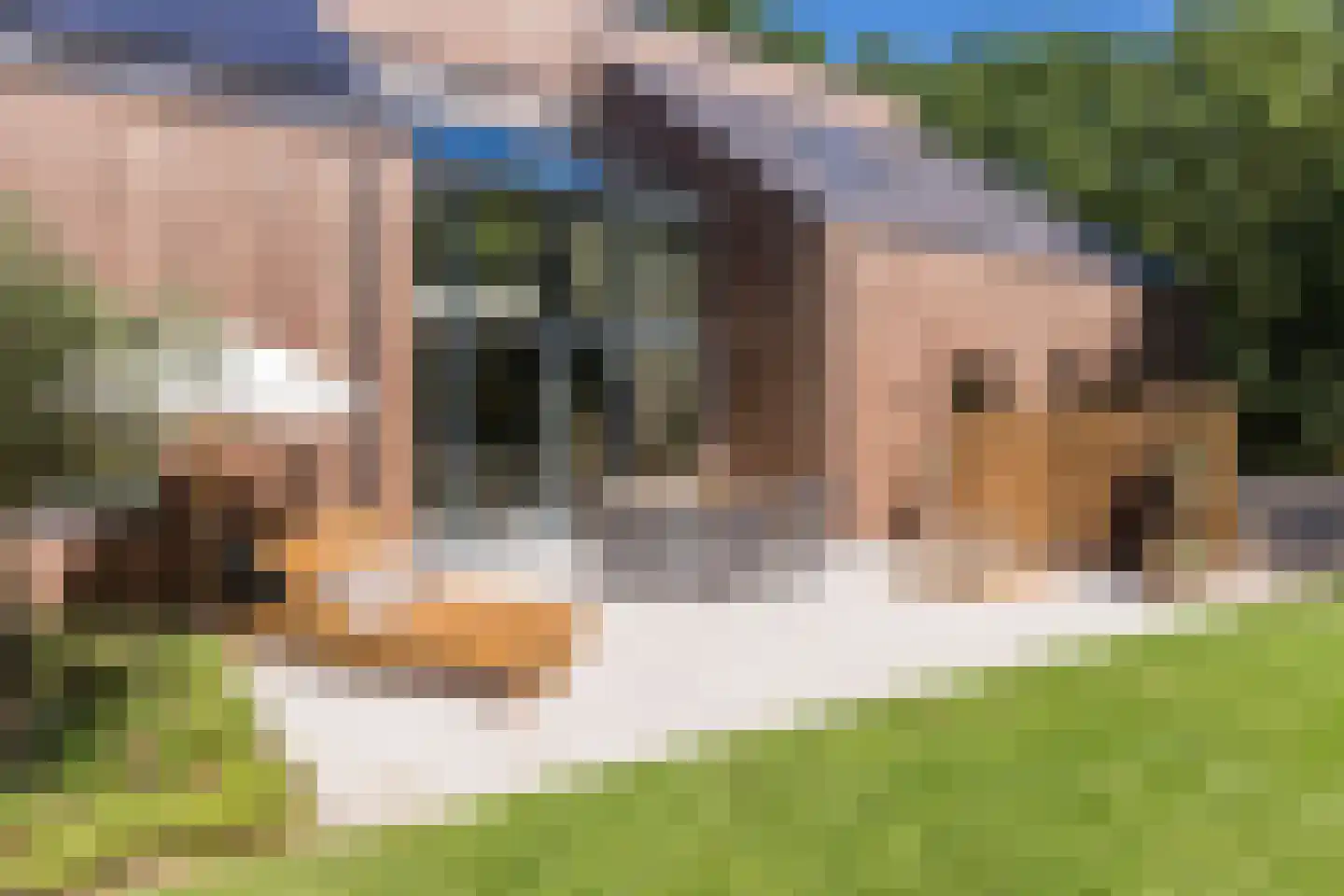 Oude Vresselseweg 8 C Sint-Oedenrode thumbnail 92