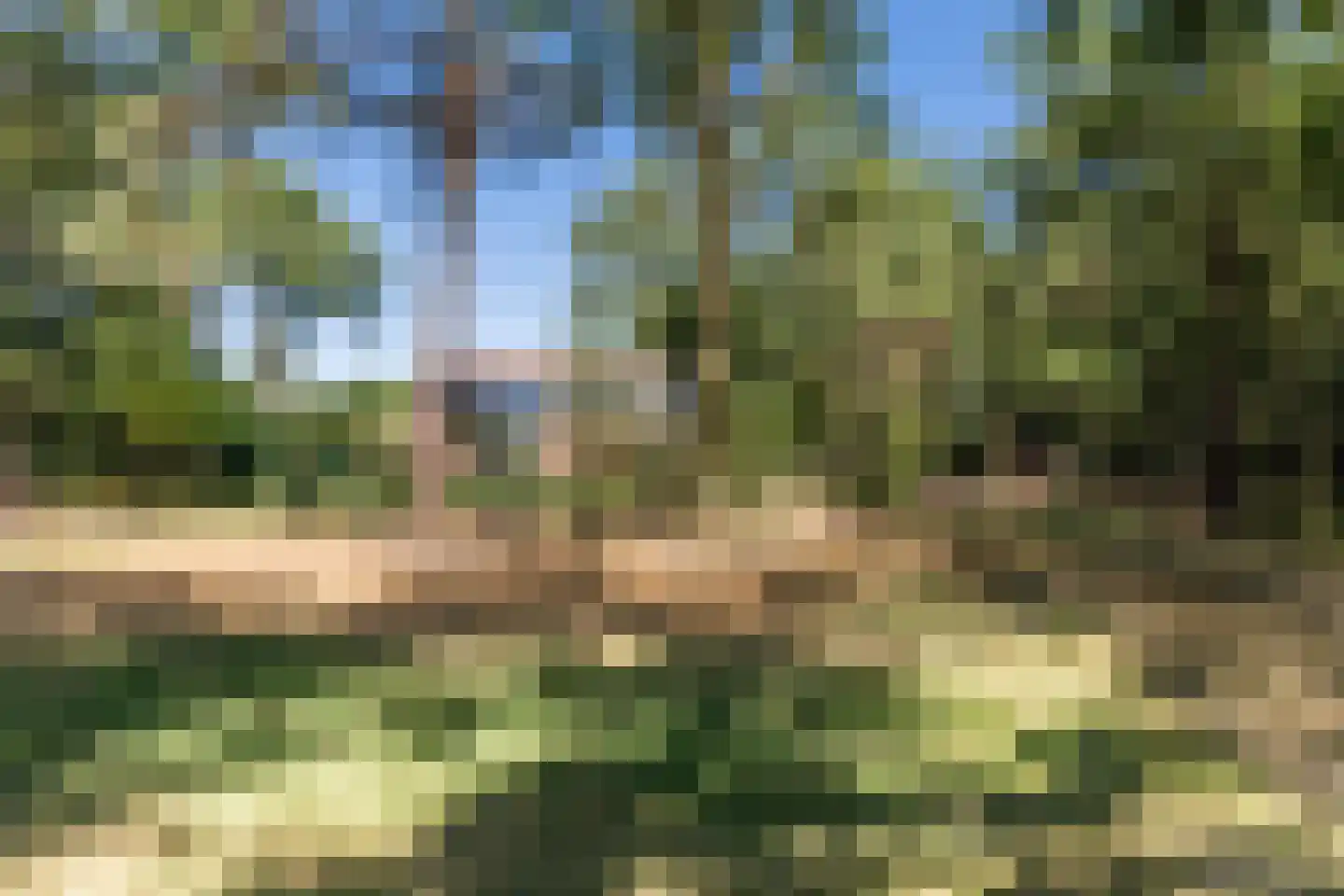 Oude Vresselseweg 8 C Sint-Oedenrode thumbnail 99