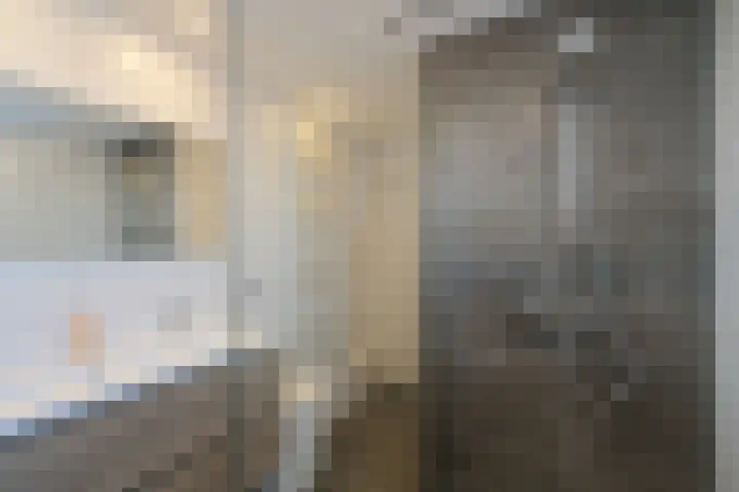 Oude Vriezenveenseweg 13 Almelo thumbnail 23