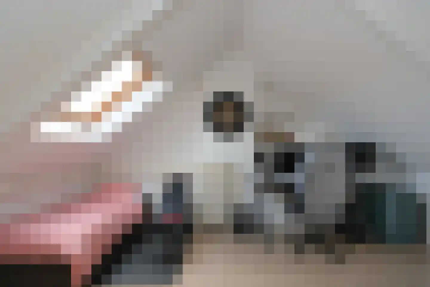 Oude Vriezenveenseweg 13 Almelo thumbnail 31