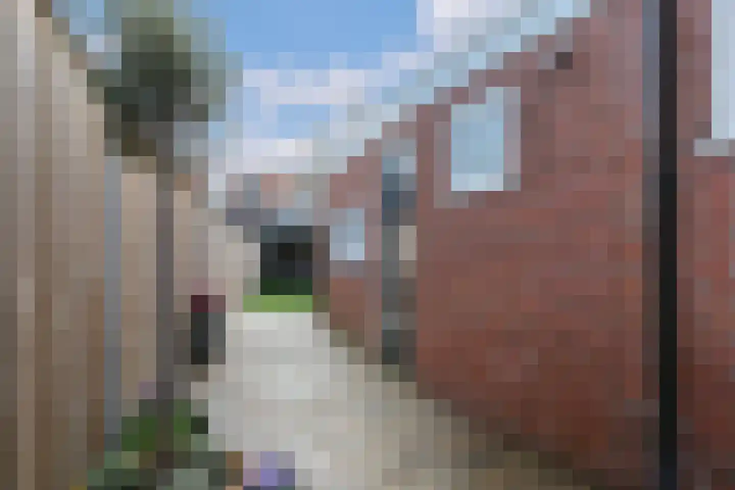 Oude Vriezenveenseweg 13 Almelo thumbnail 34