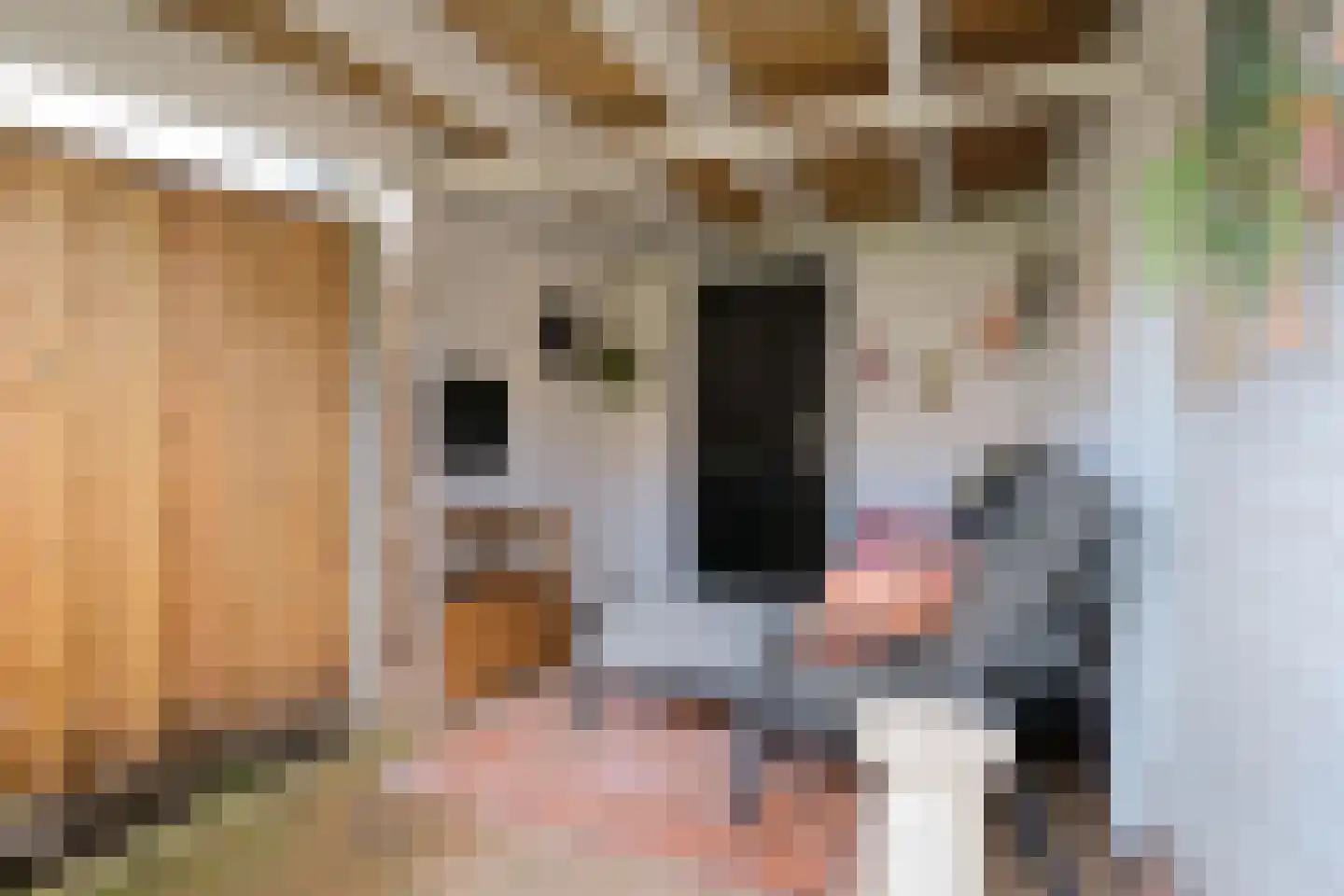 Oude Vriezenveenseweg 13 Almelo thumbnail 36