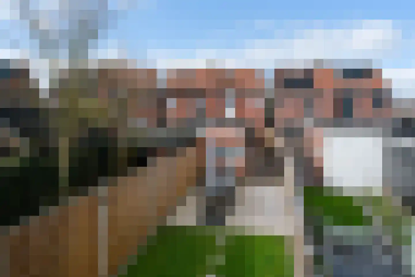Oude Vriezenveenseweg 13 Almelo thumbnail 4