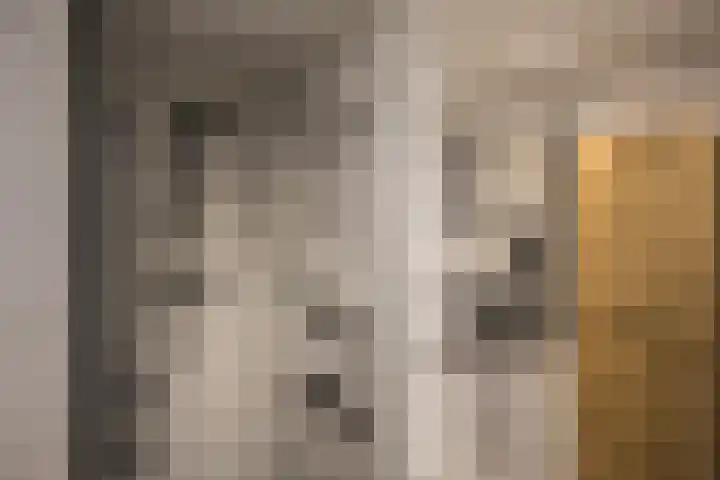 Oude Vriezenveenseweg 18 Almelo thumbnail 16