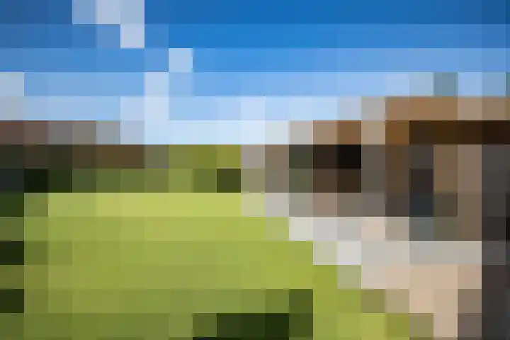 Oude Vriezenveenseweg 18 Almelo thumbnail 27