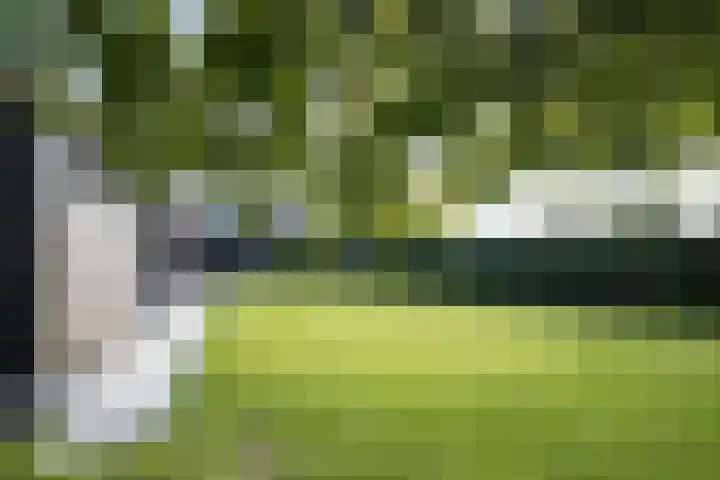 Oude Vriezenveenseweg 18 Almelo thumbnail 30