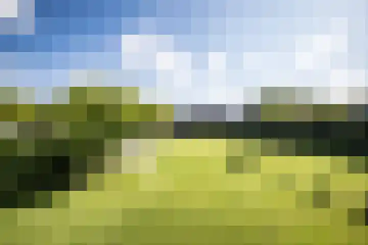 Oude Vriezenveenseweg 18 Almelo thumbnail 31