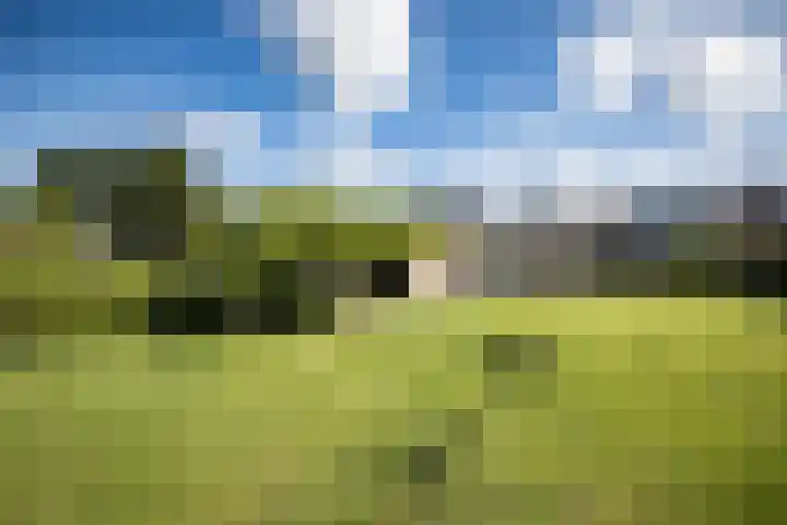 Oude Vriezenveenseweg 18 Almelo thumbnail 32