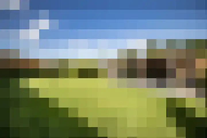 Oude Vriezenveenseweg 18 Almelo thumbnail 4