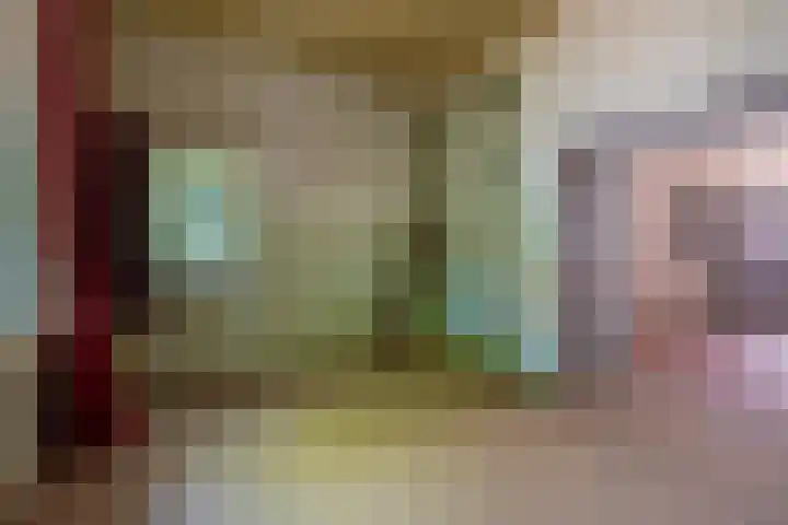 Oude Vriezenveenseweg 2 Almelo thumbnail 12