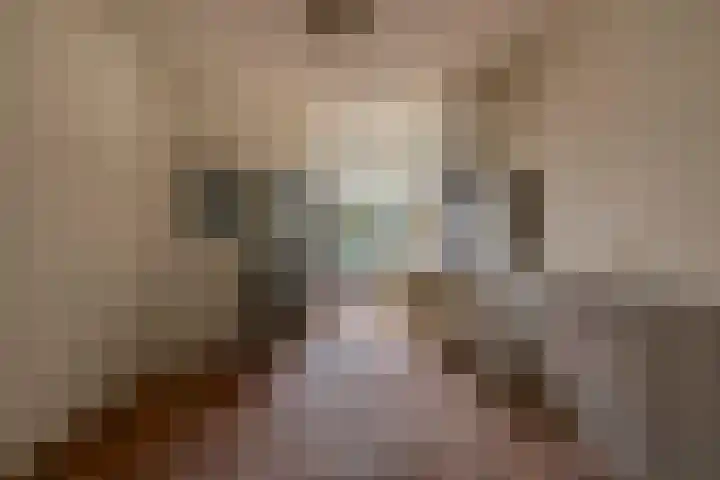 Oude Vriezenveenseweg 2 Almelo thumbnail 13