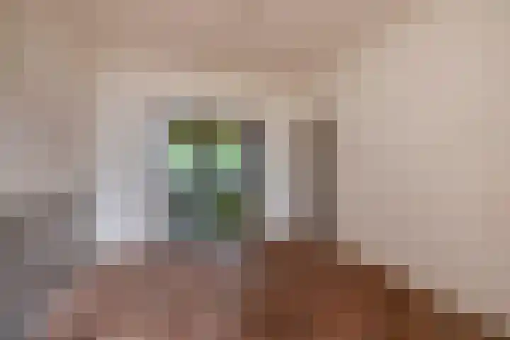Oude Vriezenveenseweg 2 Almelo thumbnail 14