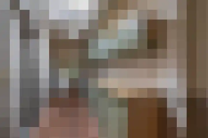Oude Vriezenveenseweg 2 Almelo thumbnail 15