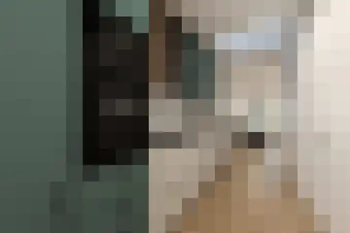 Oude Vriezenveenseweg 2 Almelo thumbnail 18