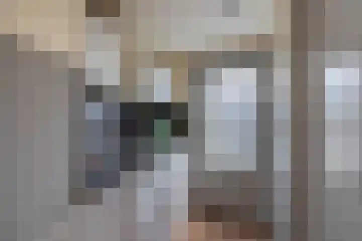 Oude Vriezenveenseweg 2 Almelo thumbnail 19