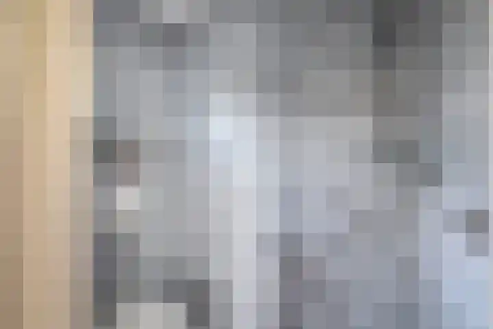 Oude Vriezenveenseweg 2 Almelo thumbnail 20
