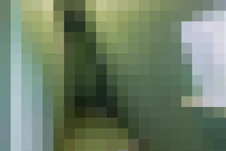 Oude Vriezenveenseweg 2 Almelo thumbnail 33
