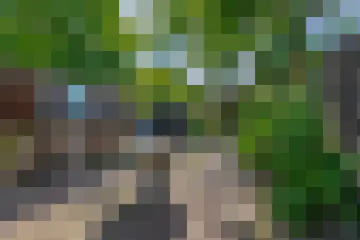Oude Vriezenveenseweg 2 Almelo thumbnail 34