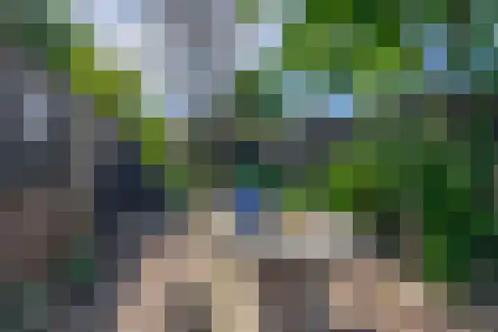 Oude Vriezenveenseweg 2 Almelo thumbnail 35