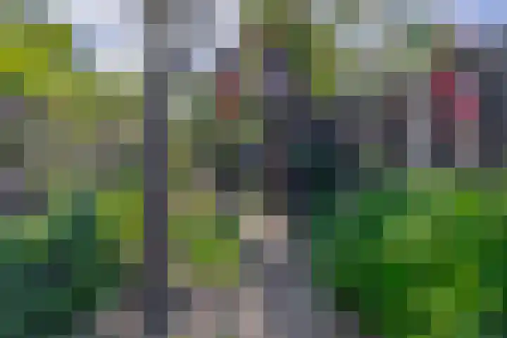 Oude Vriezenveenseweg 2 Almelo thumbnail 37
