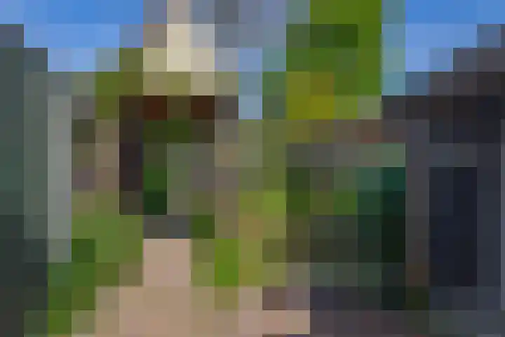Oude Vriezenveenseweg 2 Almelo thumbnail 39