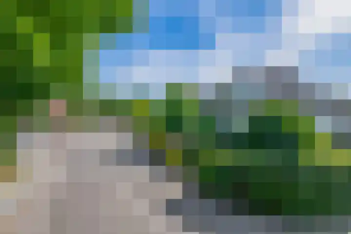 Oude Vriezenveenseweg 2 Almelo thumbnail 4