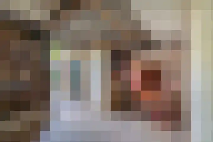 Oude Vriezenveenseweg 2 Almelo thumbnail 41