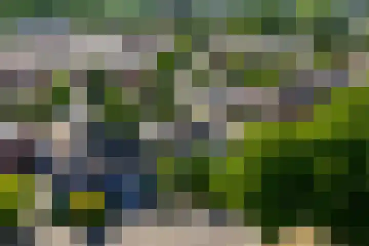 Oude Vriezenveenseweg 2 Almelo thumbnail 44