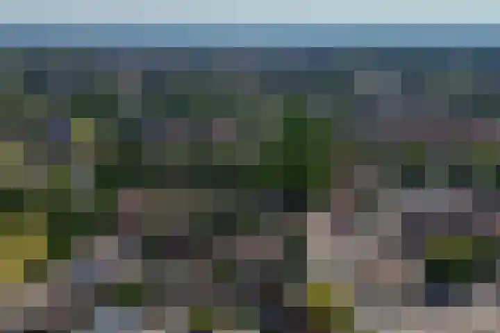 Oude Vriezenveenseweg 2 Almelo thumbnail 47
