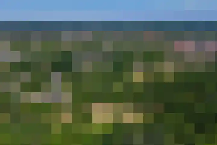 Oude Vriezenveenseweg 2 Almelo thumbnail 49