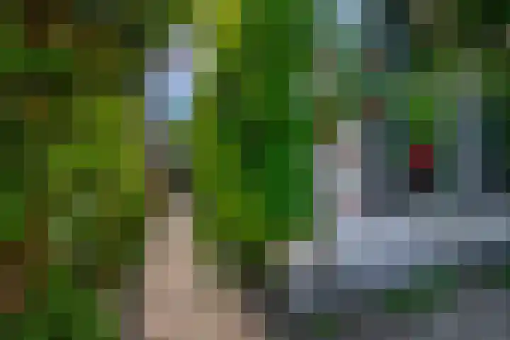 Oude Vriezenveenseweg 2 Almelo thumbnail 5