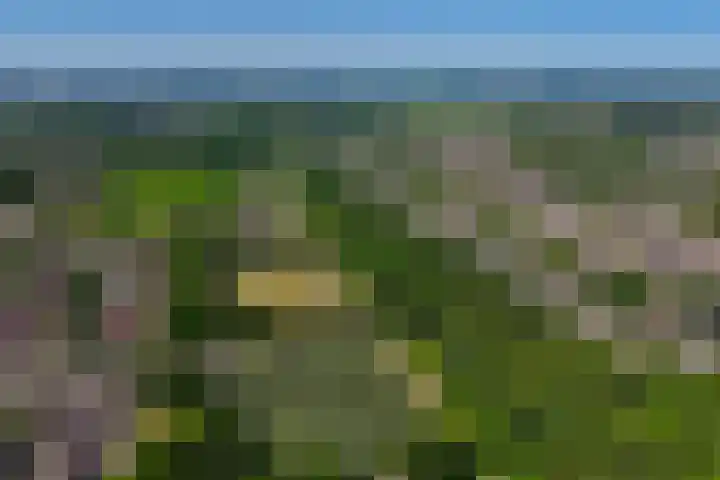 Oude Vriezenveenseweg 2 Almelo thumbnail 50