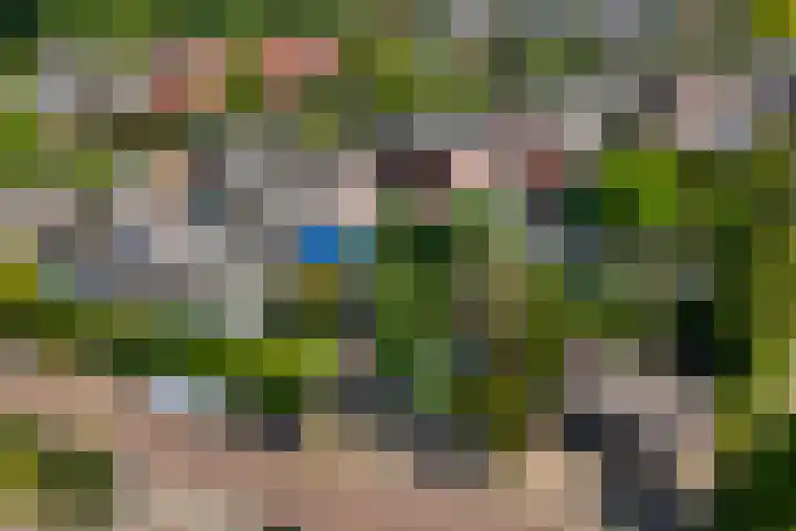 Oude Vriezenveenseweg 2 Almelo thumbnail 51