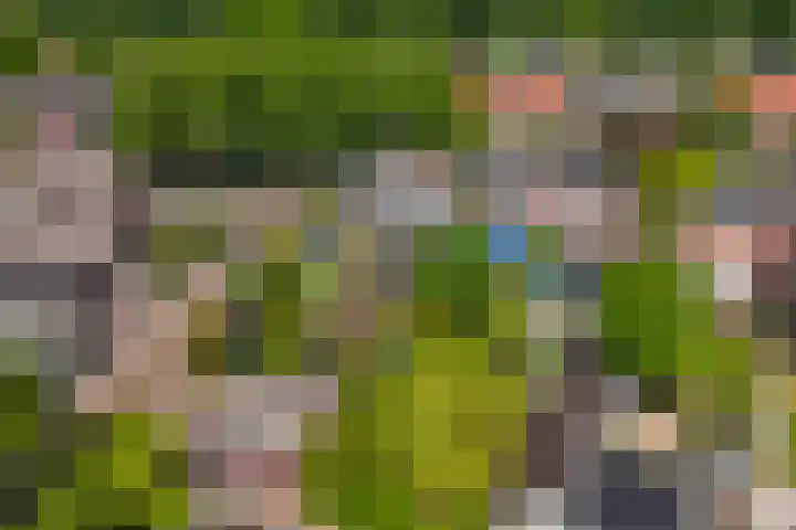 Oude Vriezenveenseweg 2 Almelo thumbnail 52