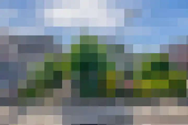 Oude Vriezenveenseweg 2 Almelo thumbnail 64