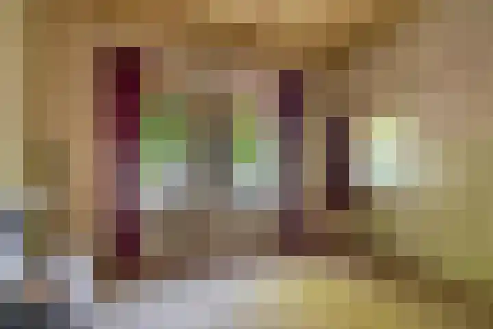 Oude Vriezenveenseweg 2 Almelo thumbnail 9