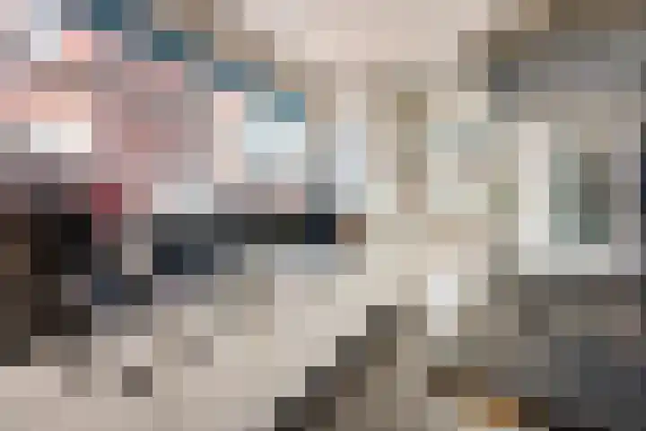 Oude Vriezenveenseweg 25 Almelo thumbnail 11