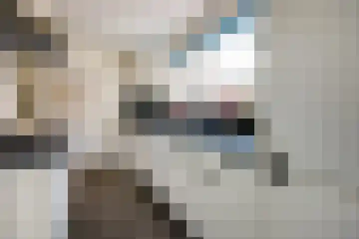 Oude Vriezenveenseweg 25 Almelo thumbnail 12