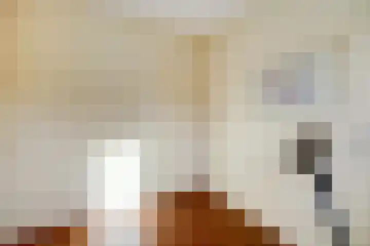 Oude Vriezenveenseweg 25 Almelo thumbnail 22