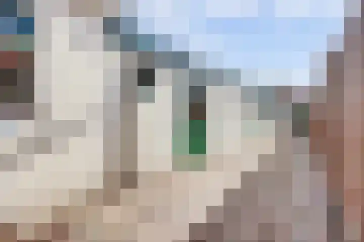 Oude Vriezenveenseweg 25 Almelo thumbnail 27