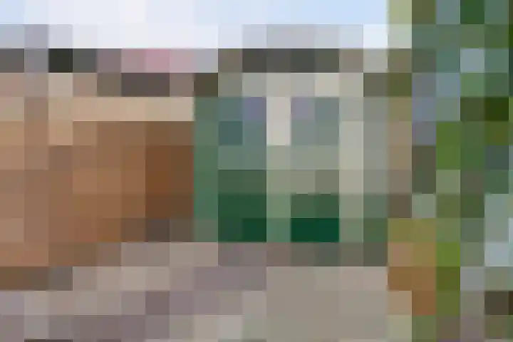 Oude Vriezenveenseweg 25 Almelo thumbnail 29