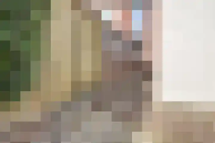 Oude Vriezenveenseweg 25 Almelo thumbnail 32